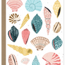 seashells